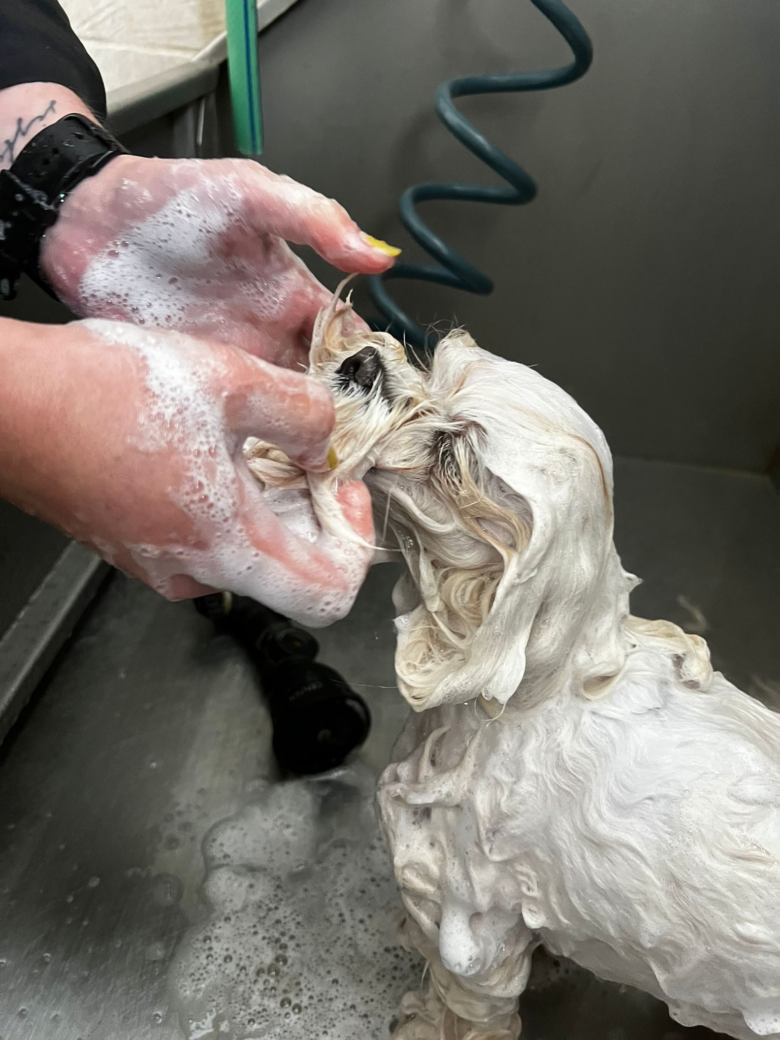 Servicio: Peluquería